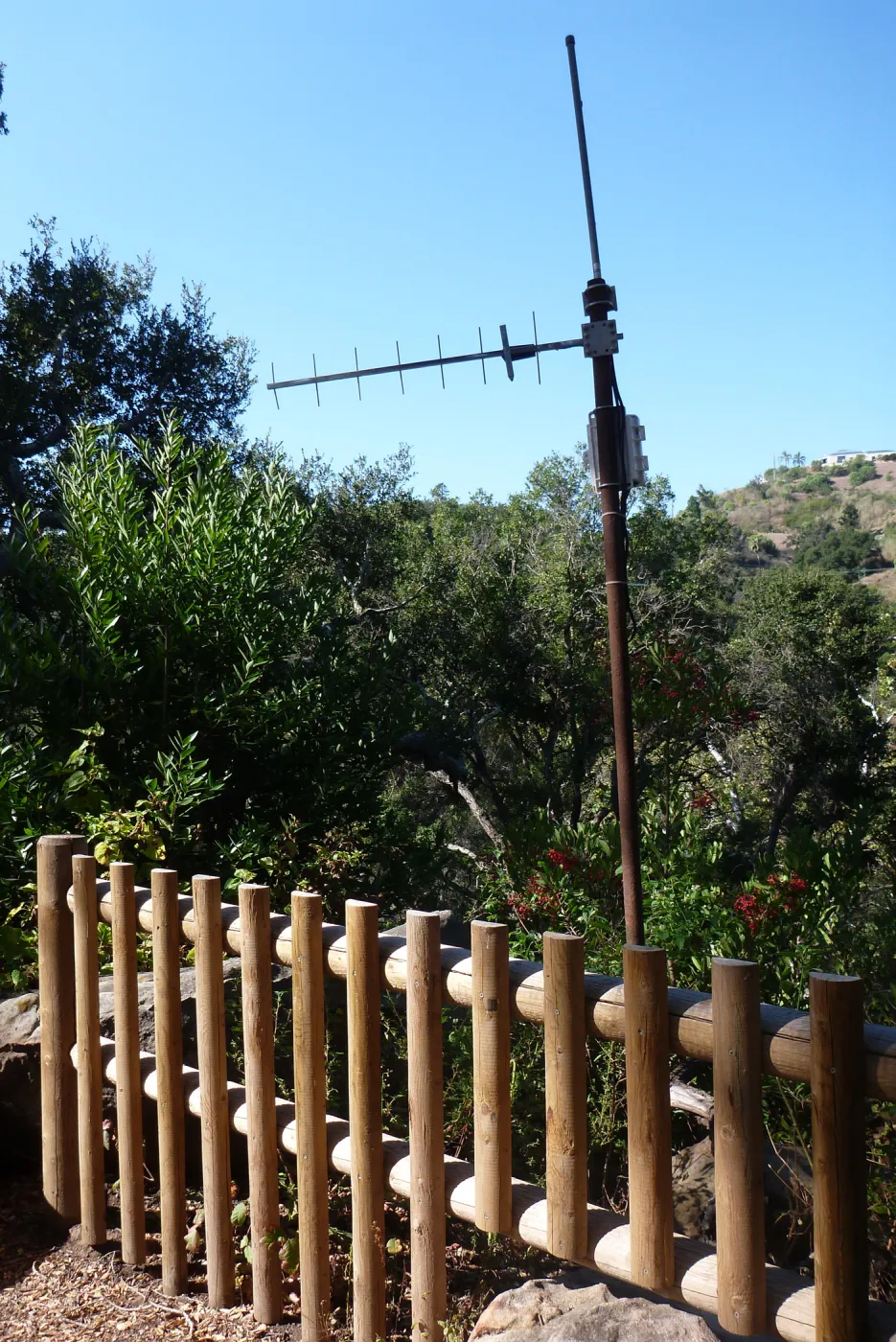 transmitter on canyon rim, SBBG Meadow Oaks