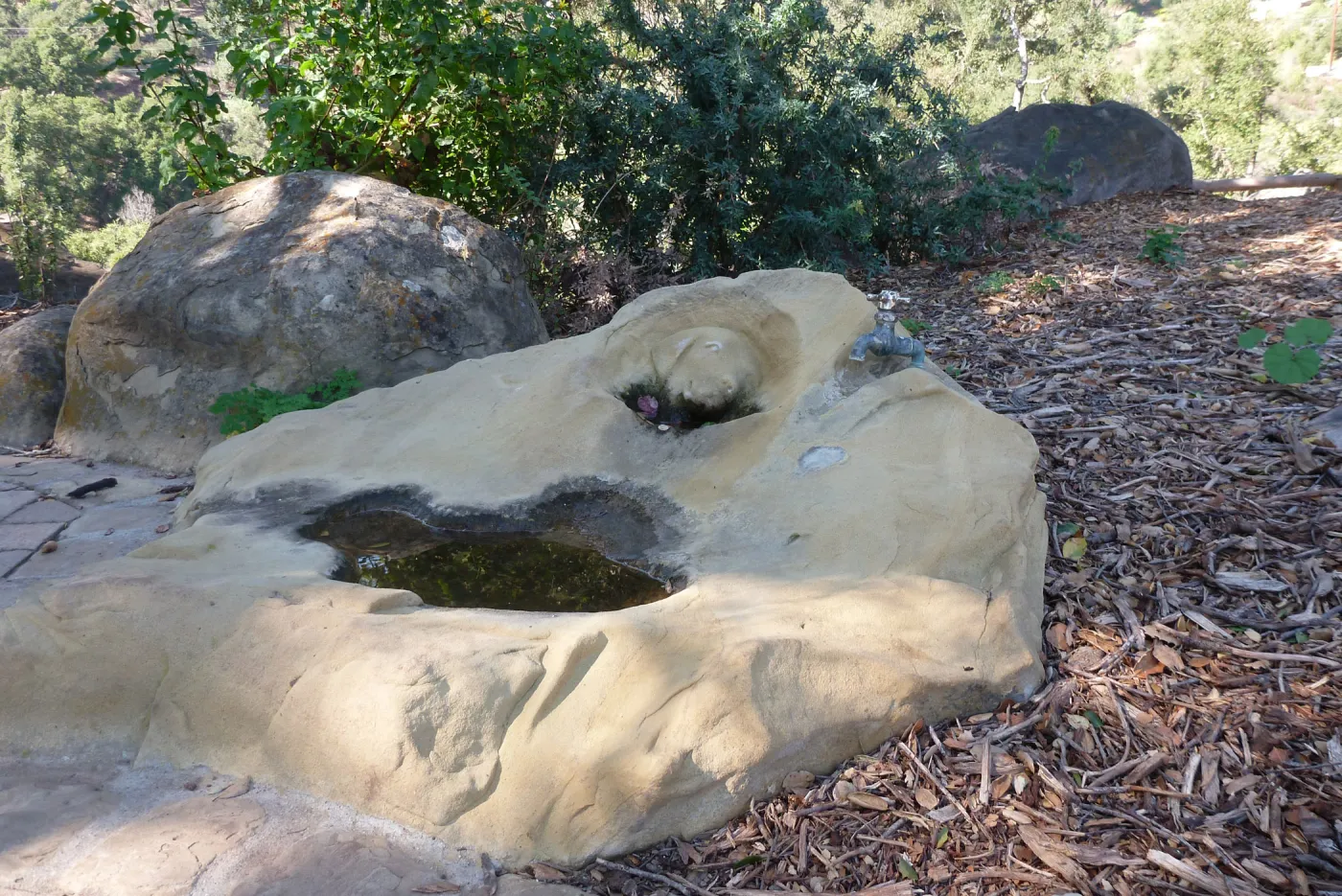 SBBG sandstone sculpted dog fountain under the Meadow Oaks