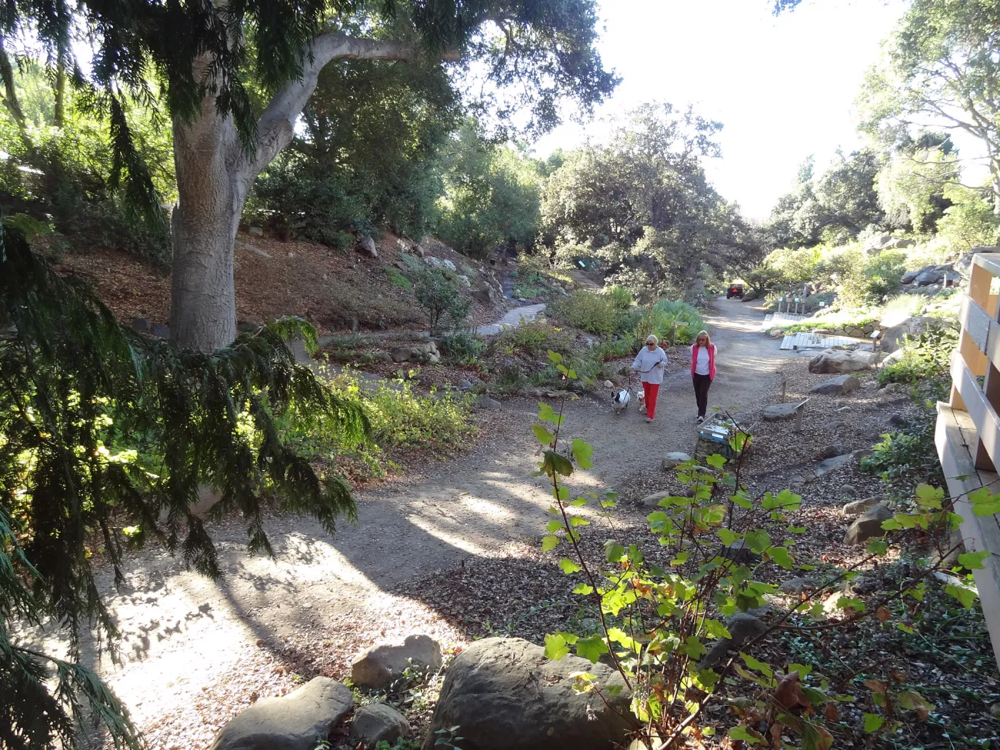 Visitors walking dogs in the Arroyo Section