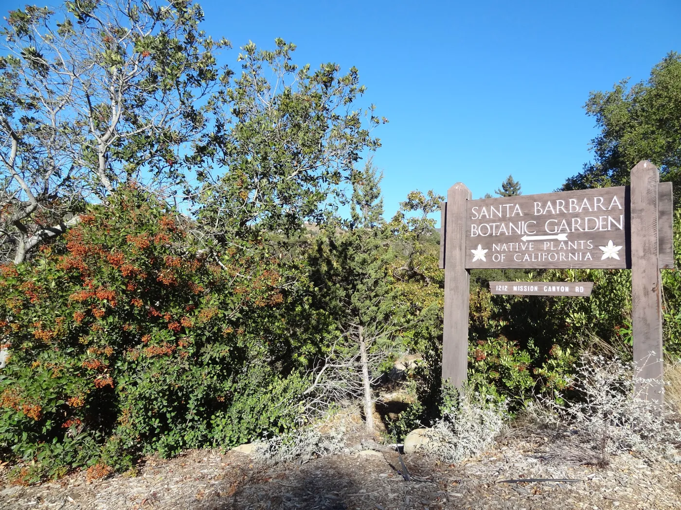 SBBG Entrance sign, wood sign, Santa Barbara Botanic Garden