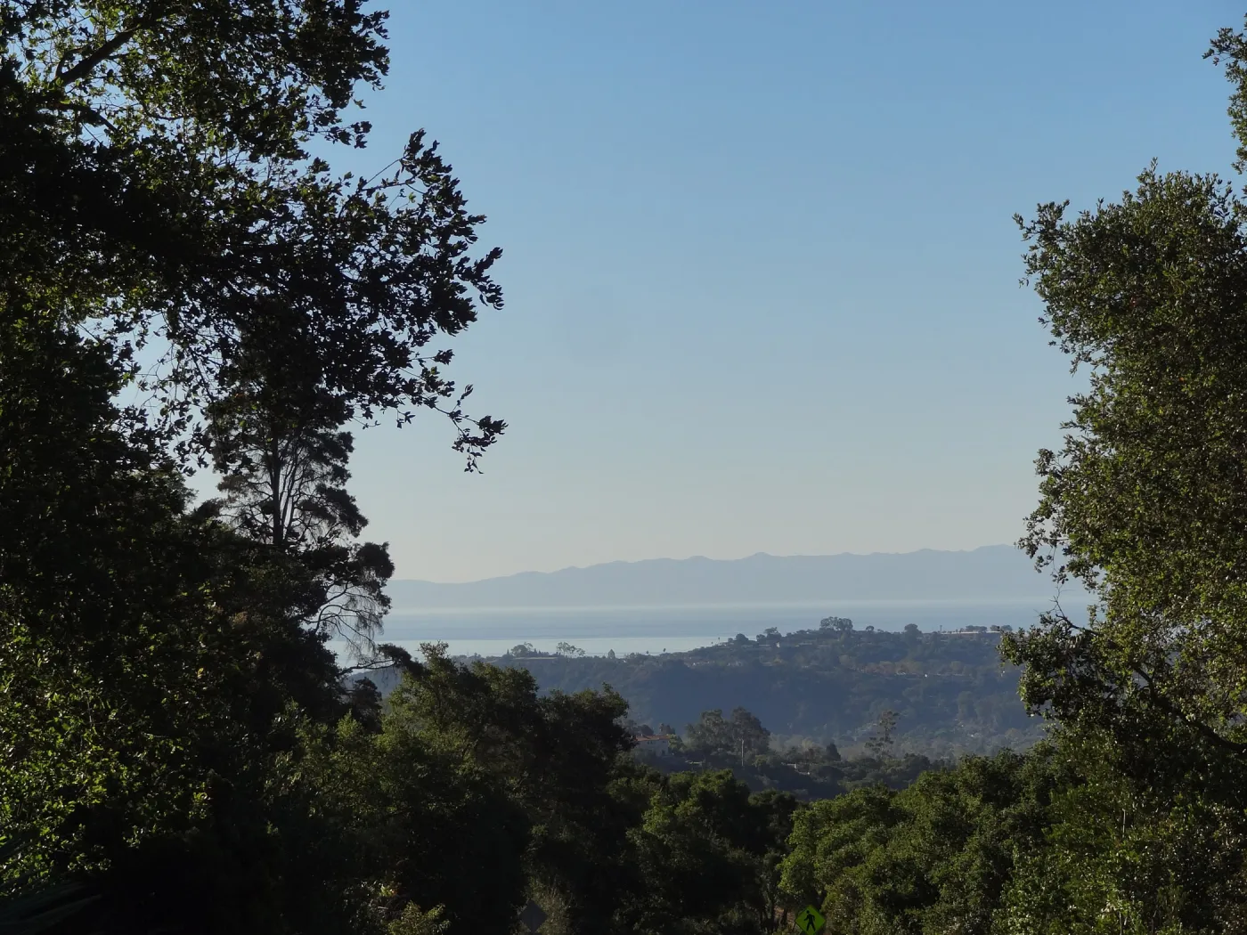 view from SBBG to Santa Cruz Island