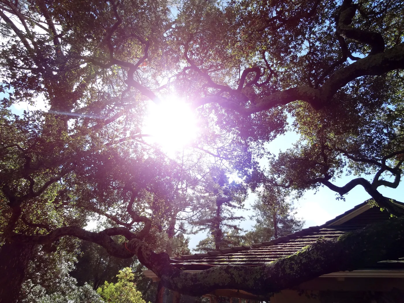 Sunlight, entrance near Gift Shop