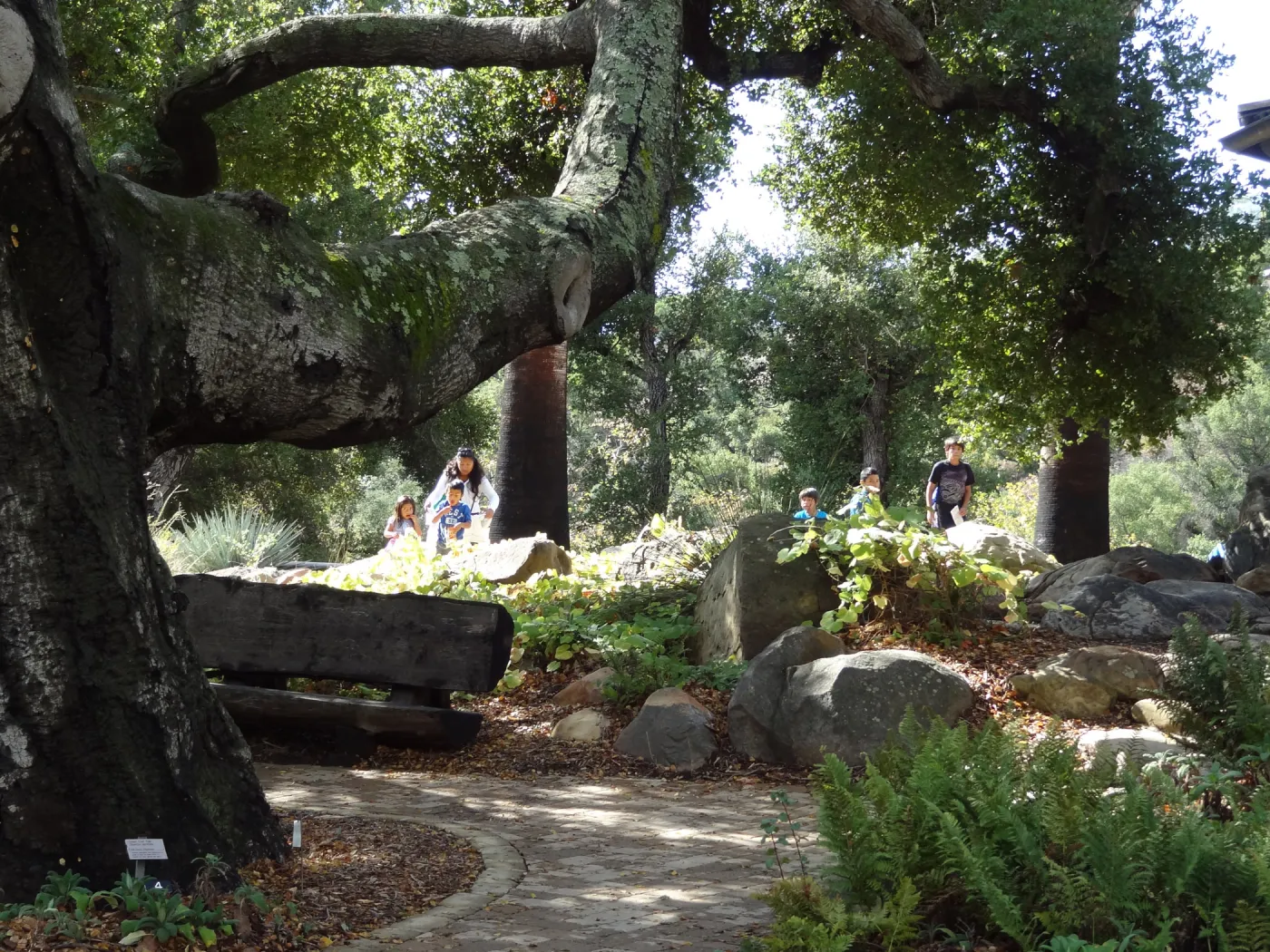 Visitors, wood bench, oak tree at the Information Kiosk