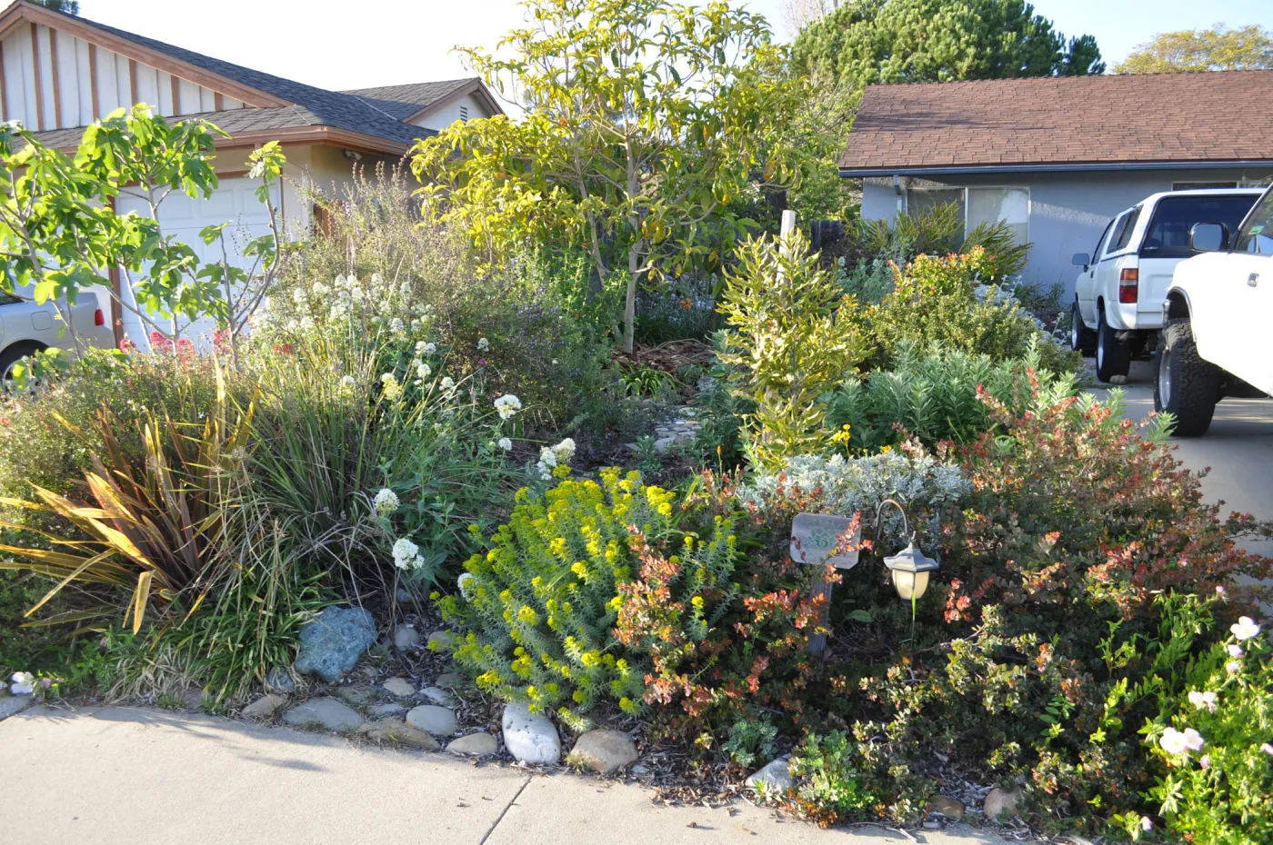 Heather Wehnau garden