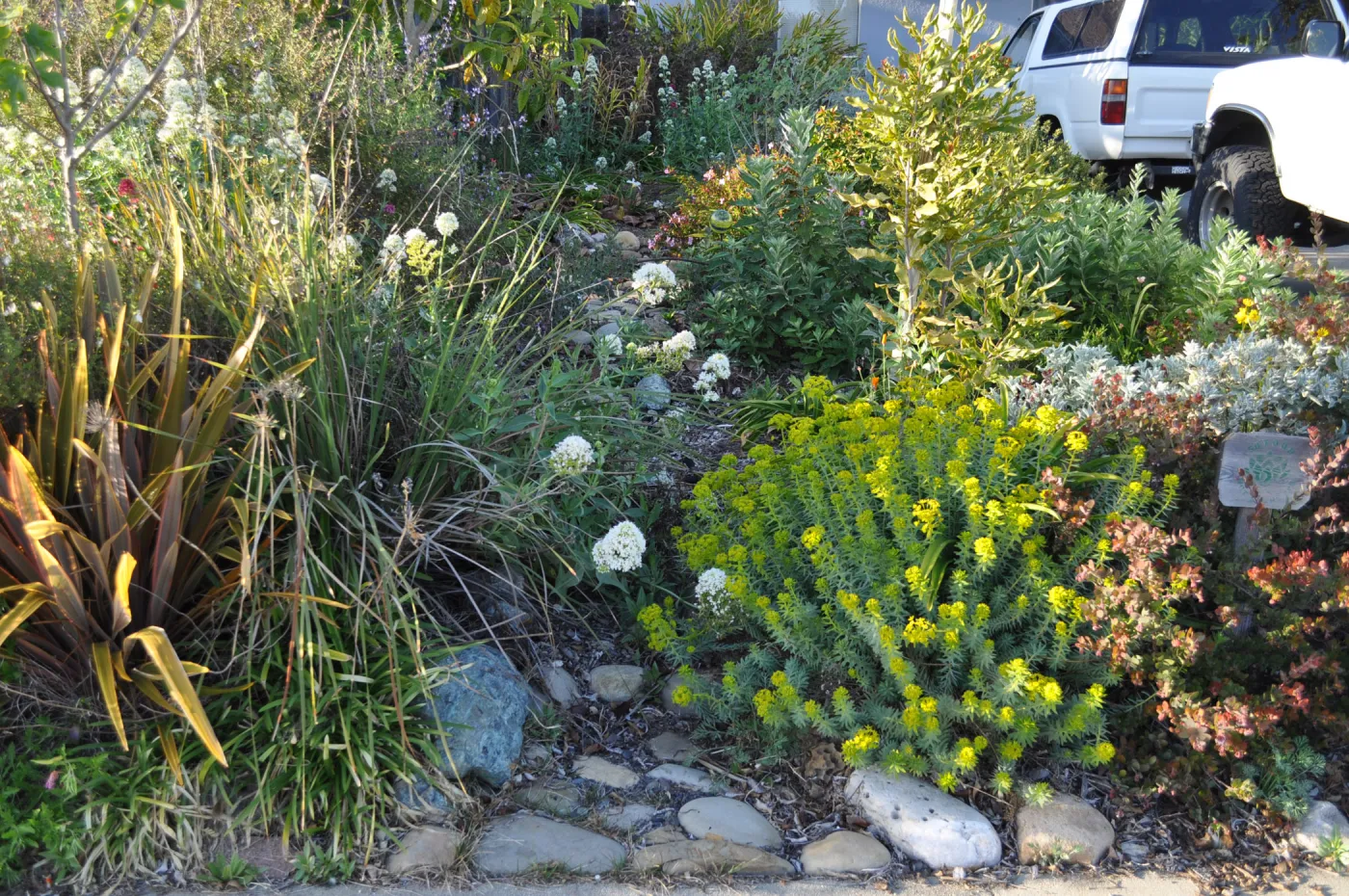 Heather Wehnau garden