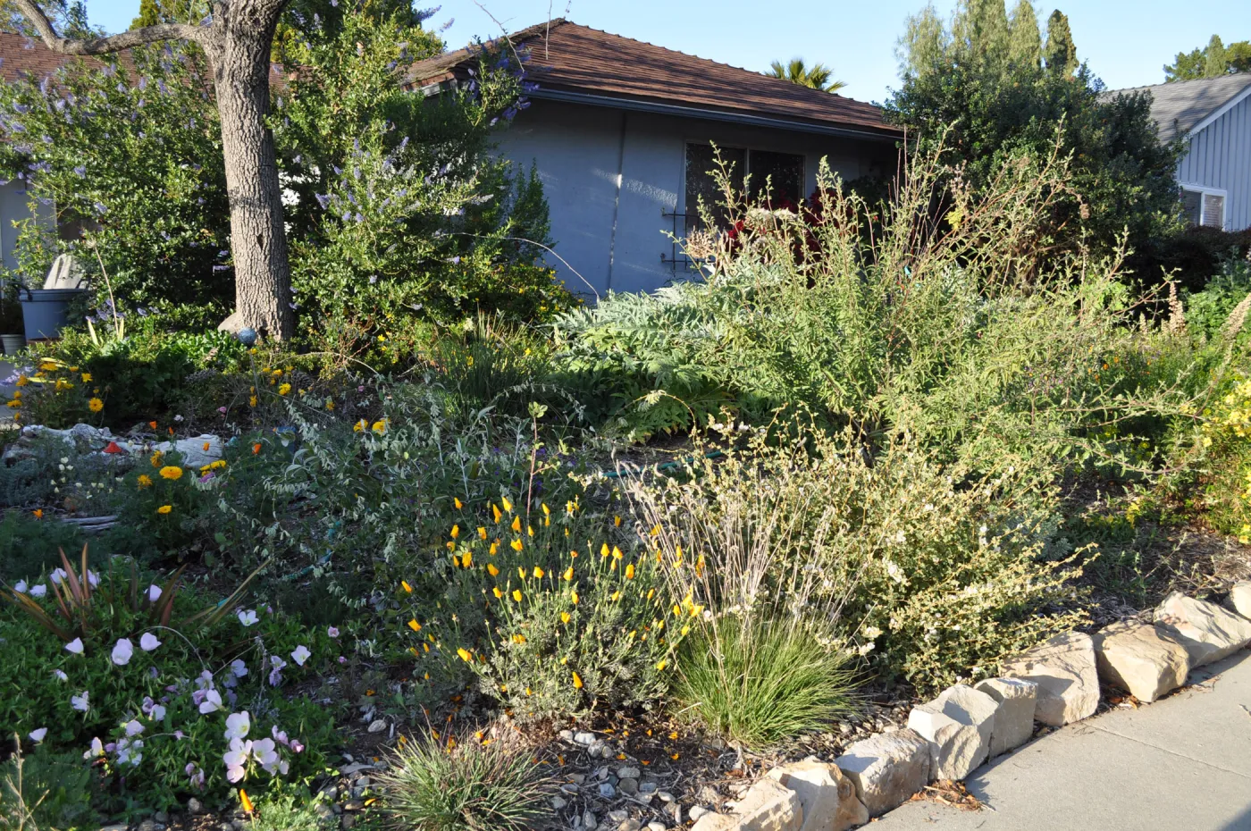 Heather Wehnau garden
