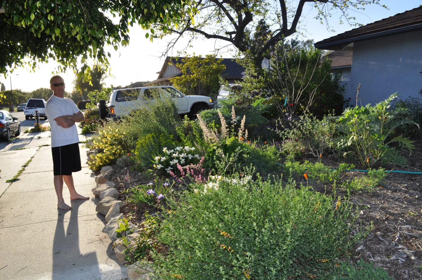 Heather Wehnau garden
