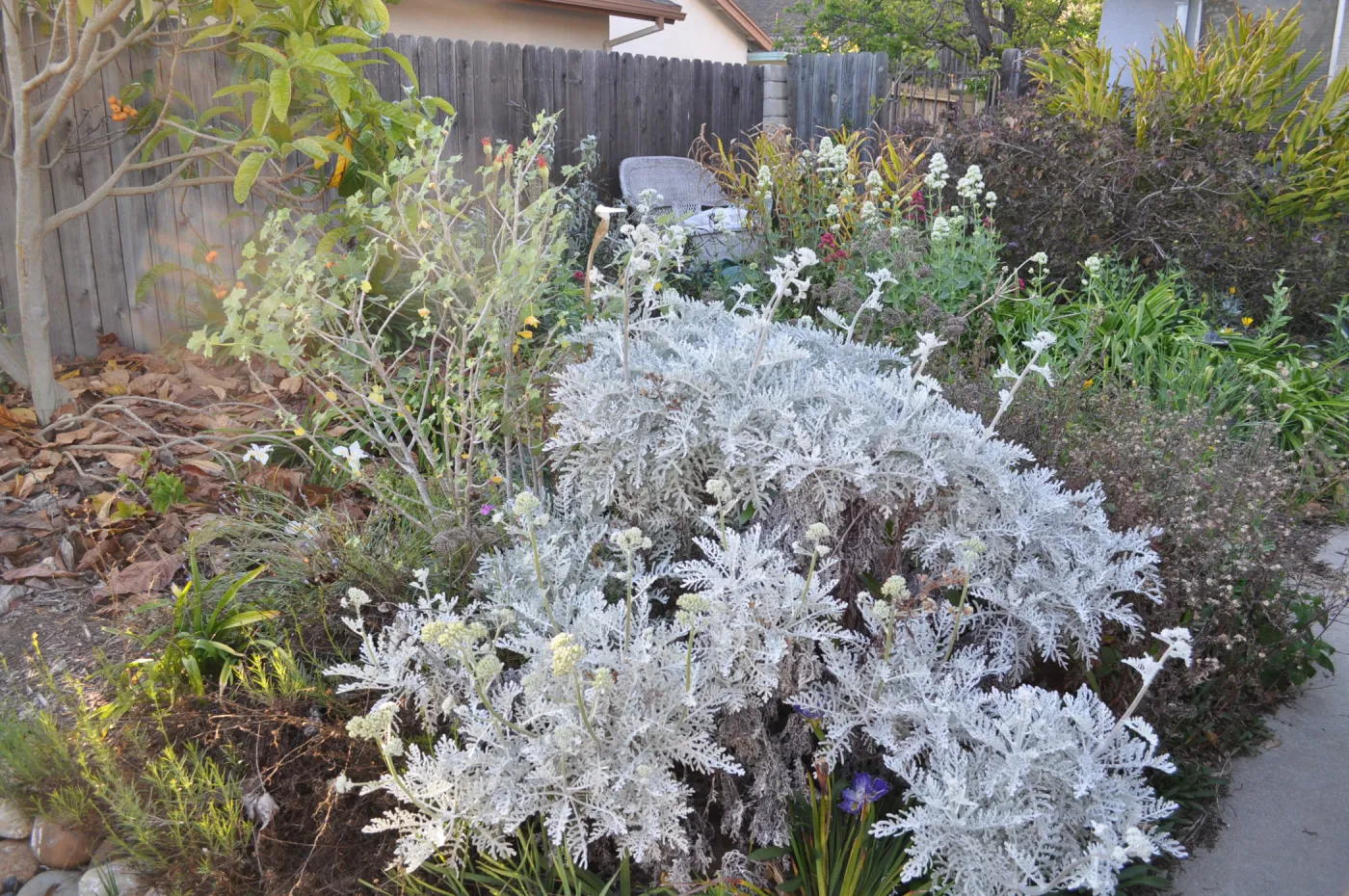 Heather Wehnau garden