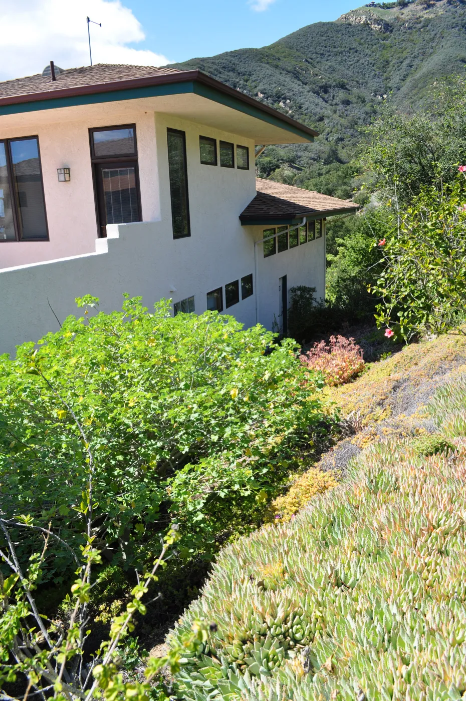 Native Plant Tour,Toro Canyon, Wallin garden