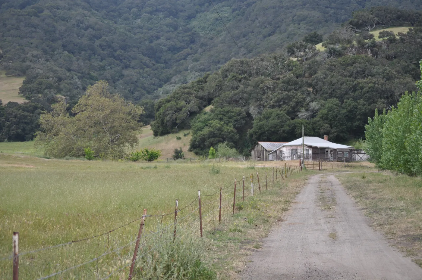 Garden field trip to Indian Knob, San Luis Obispo county