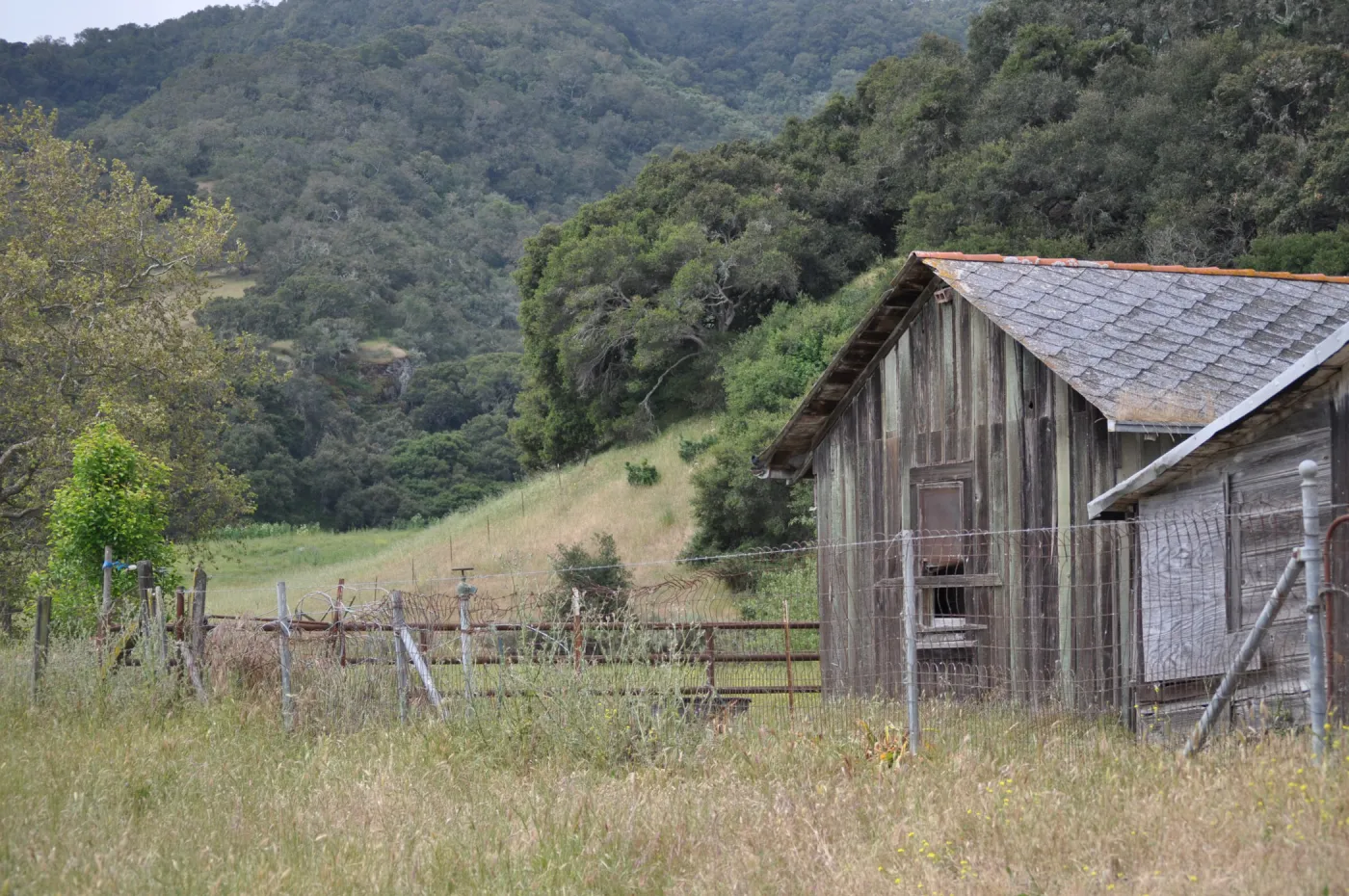 Garden field trip to Indian Knob, San Luis Obispo county