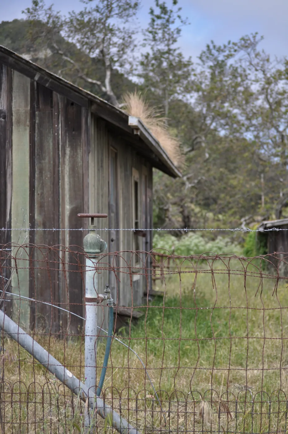 Garden field trip to Indian Knob, San Luis Obispo county
