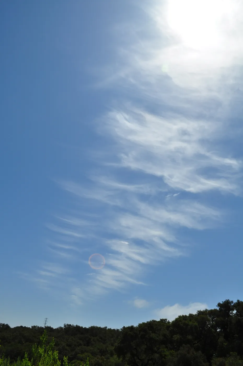 Garden field trip to Indian Knob, San Luis Obispo county