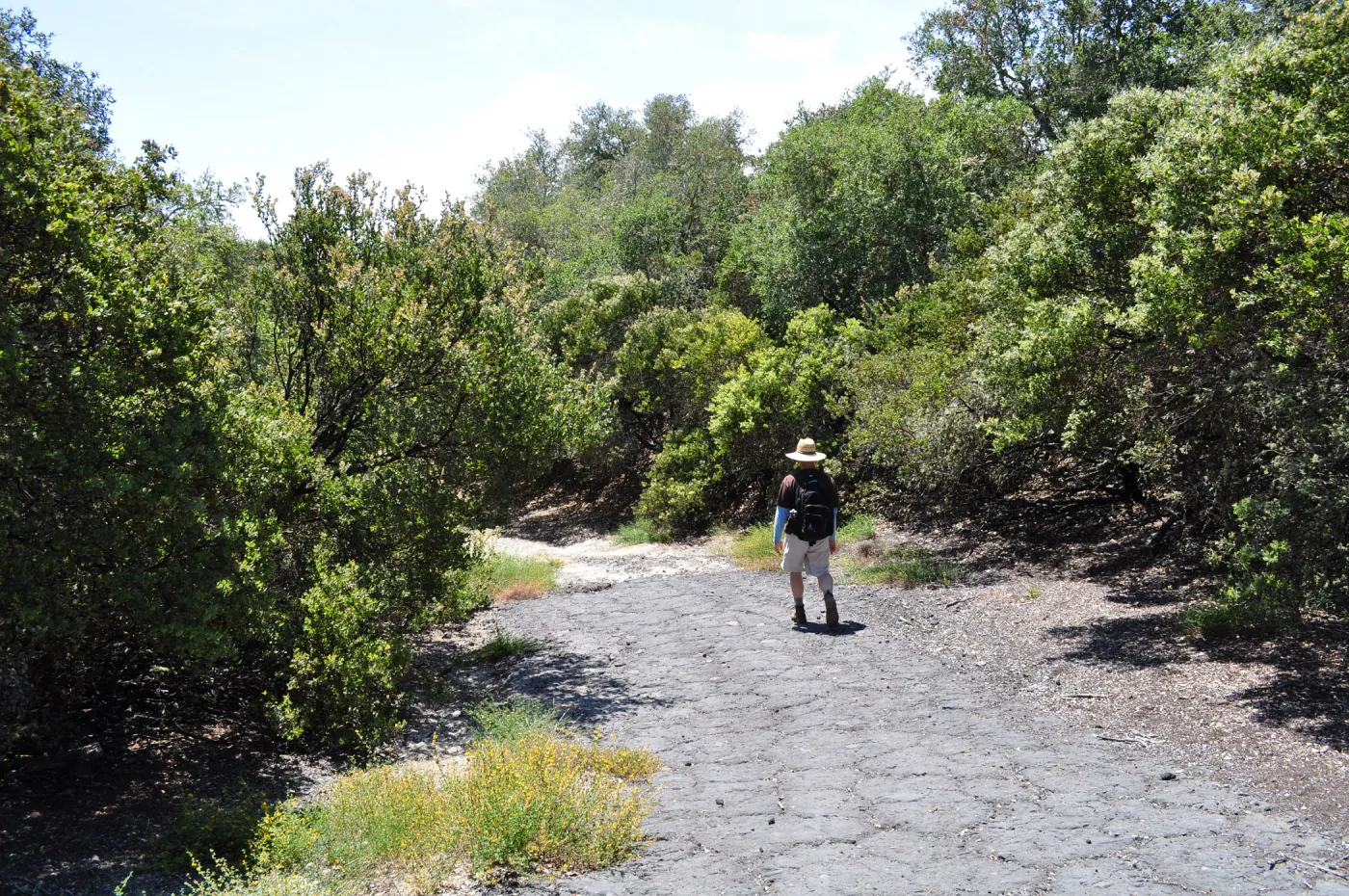 Garden field trip to Indian Knob, San Luis Obispo county