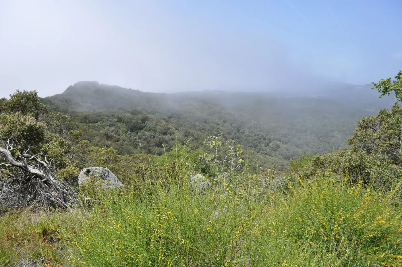 Garden field trip to Indian Knob, San Luis Obispo county