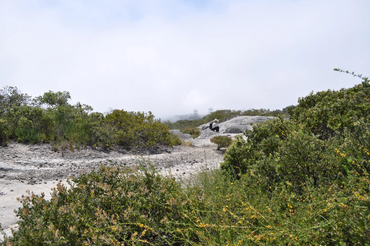 Garden field trip to Indian Knob, San Luis Obispo county