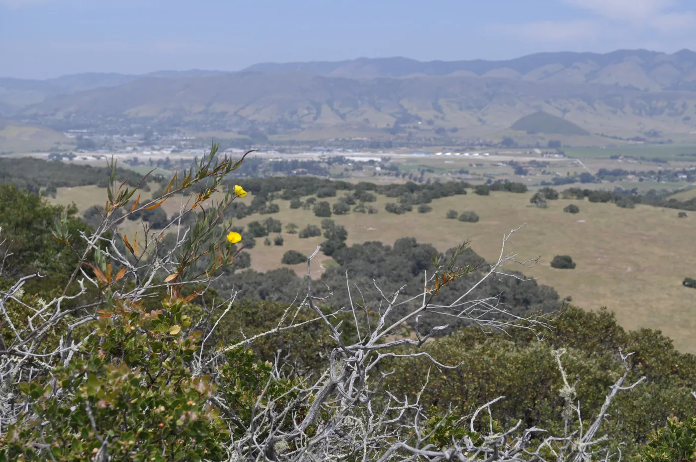 Garden field trip to Indian Knob, San Luis Obispo county