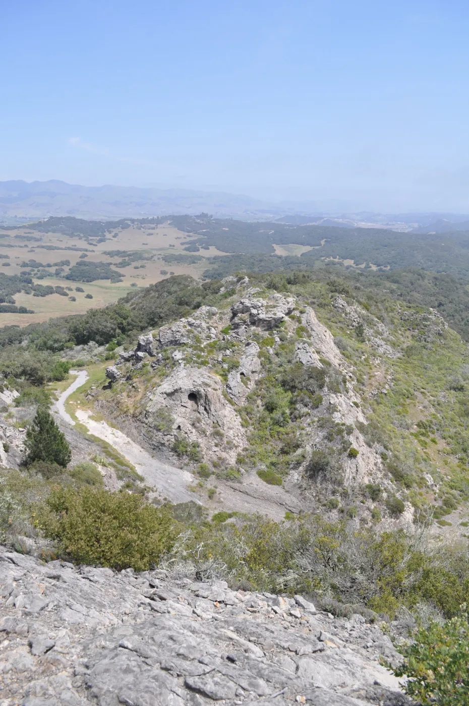 Garden field trip to Indian Knob, San Luis Obispo county