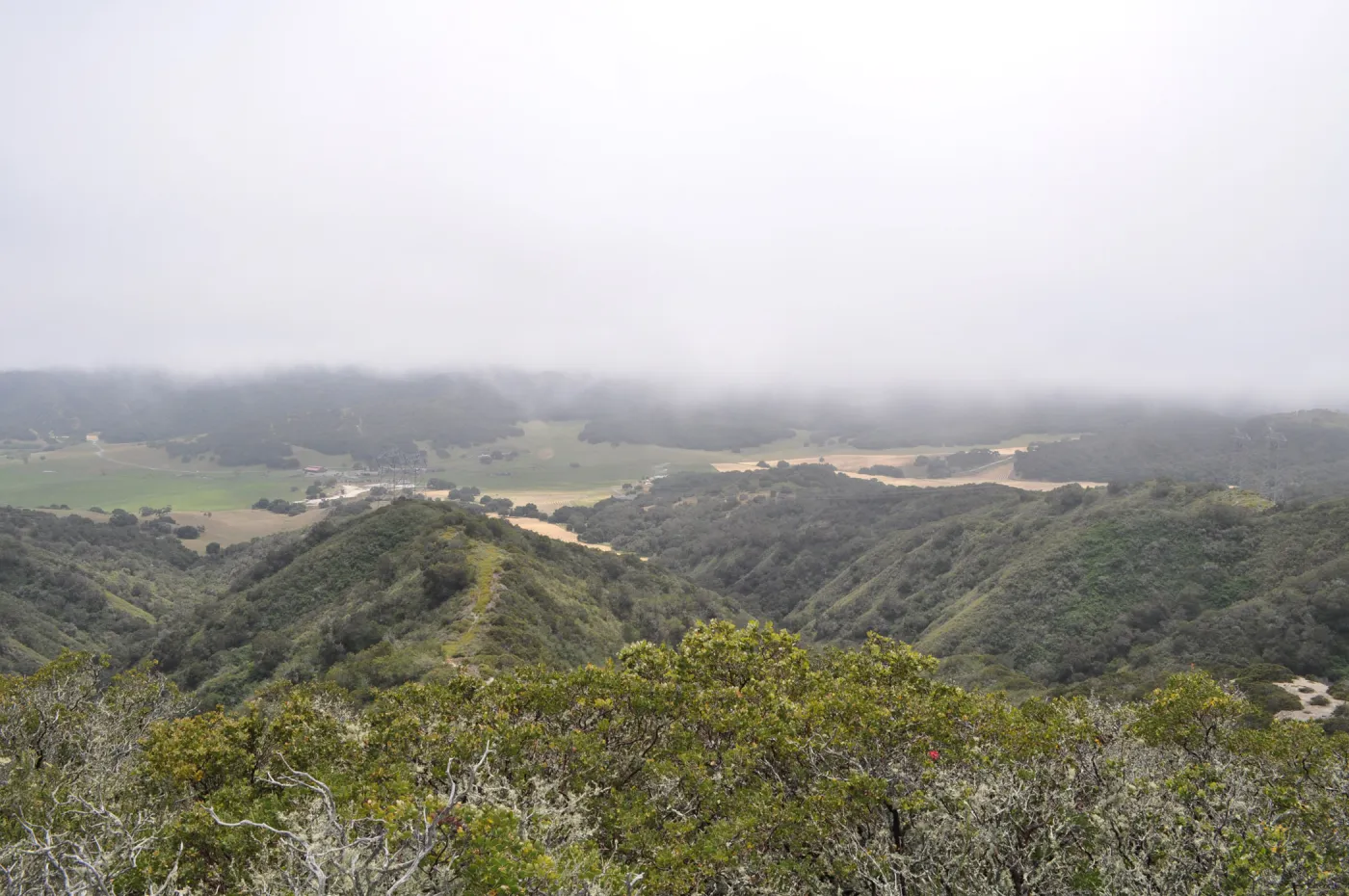 Garden field trip to Indian Knob, San Luis Obispo county