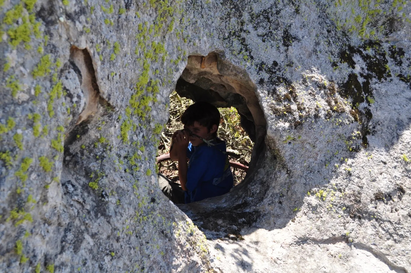 Garden field trip to Indian Knob, San Luis Obispo county