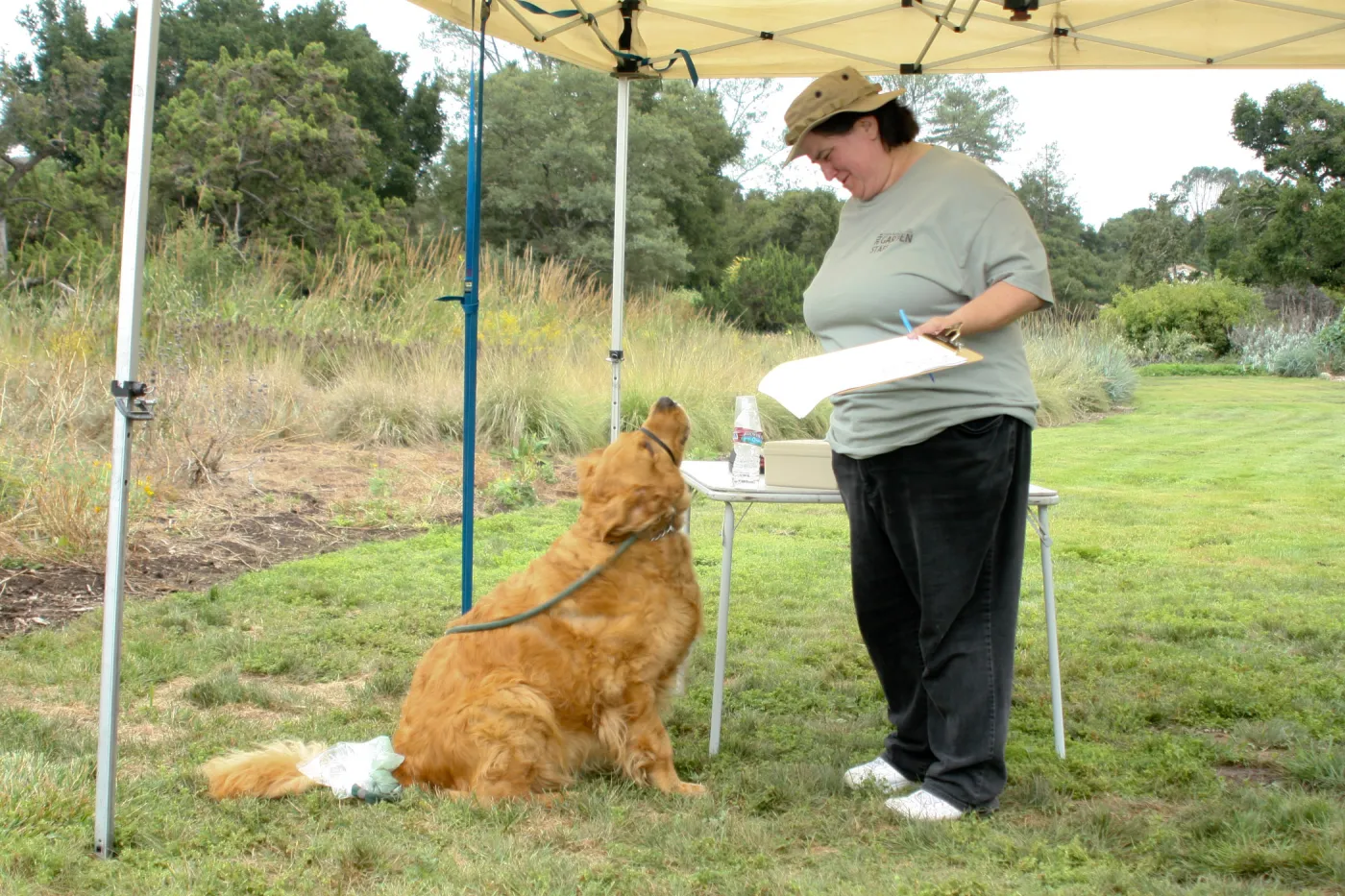 Trails n Tails 2012