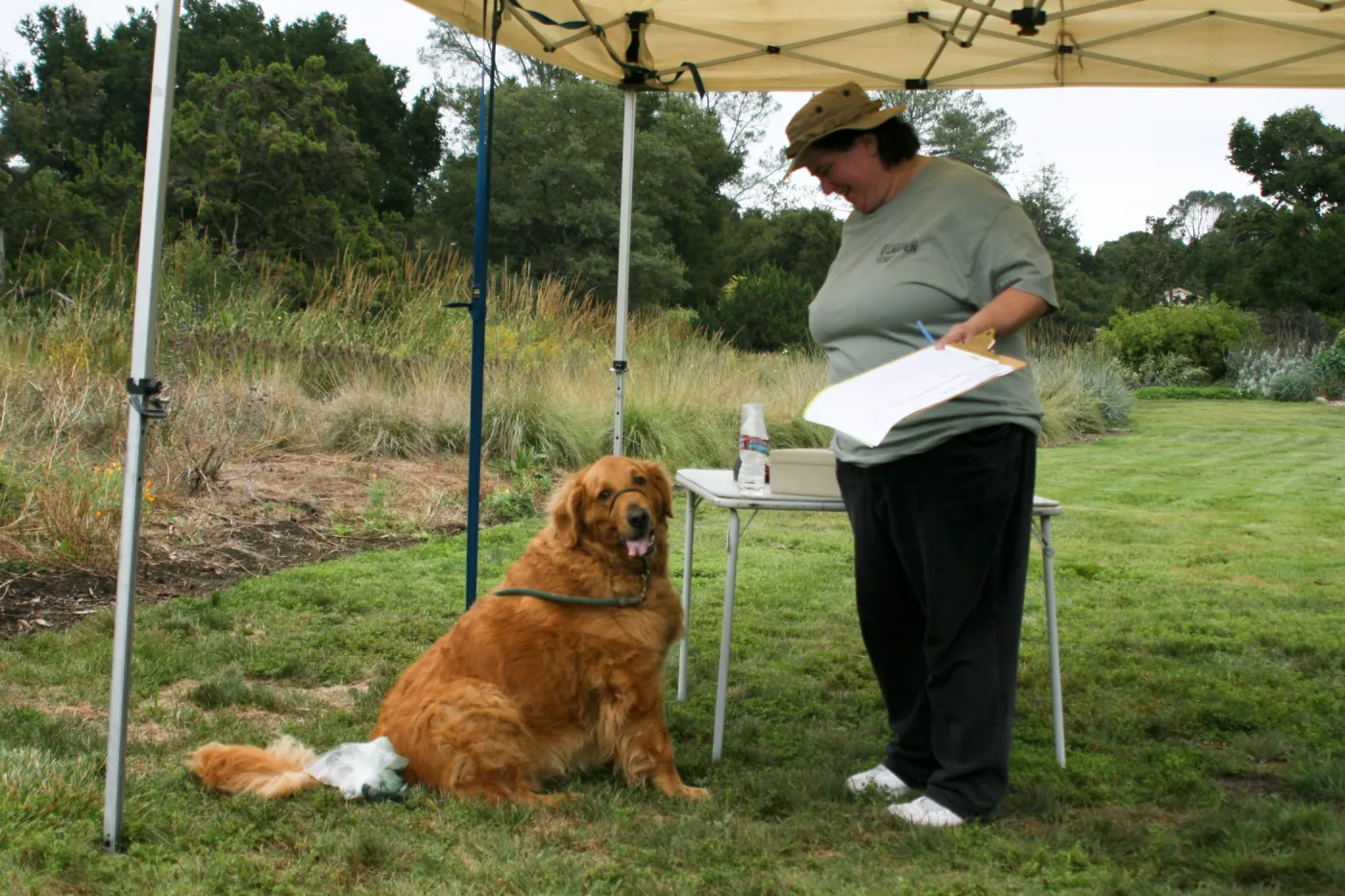 Trails n Tails 2012
