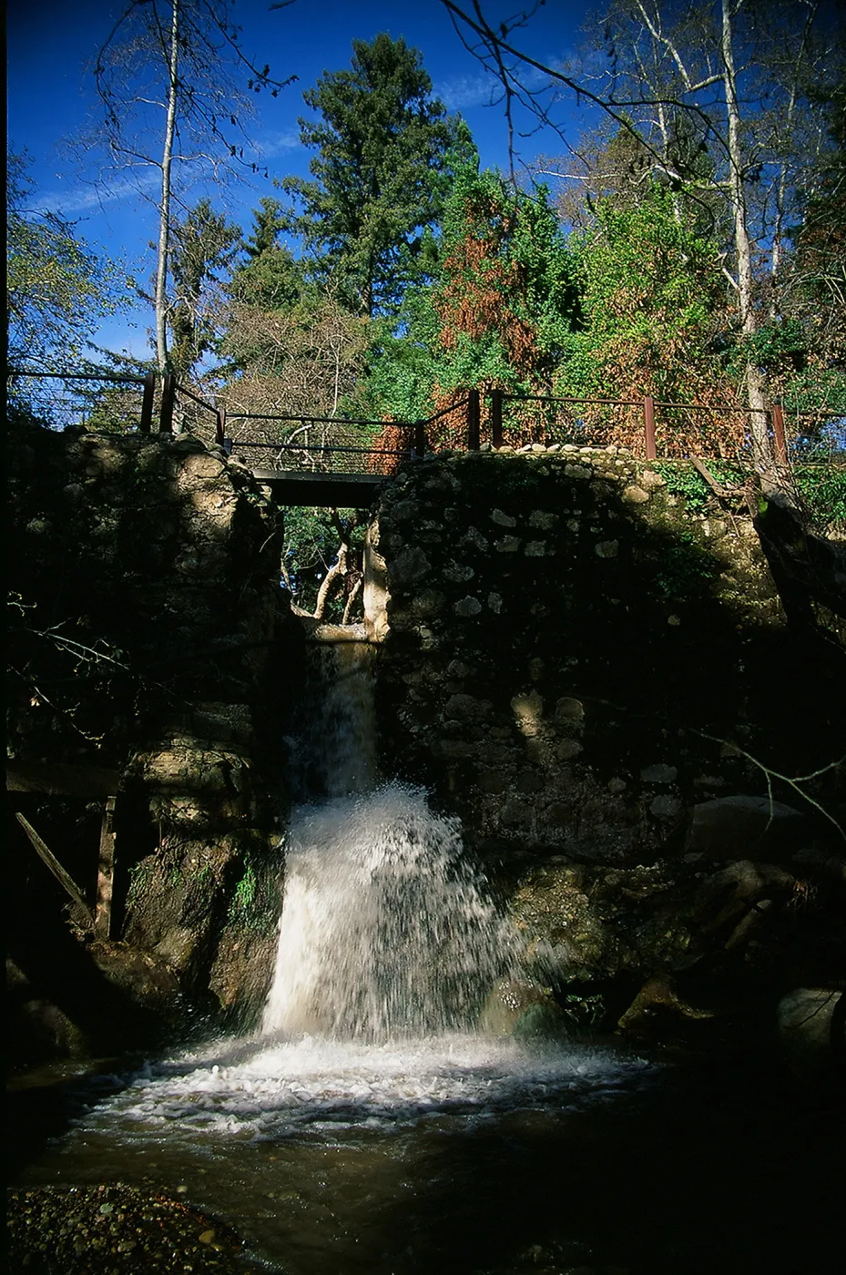 Waterfall at historic Mission Dam, SBBG Photo Contest 2013