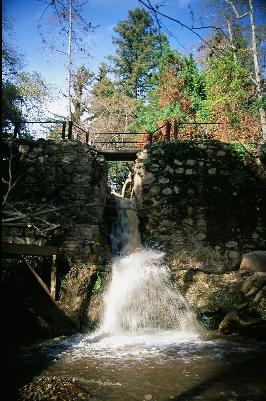 Waterfall at historic Mission Dam, SBBG Photo Contest 2013