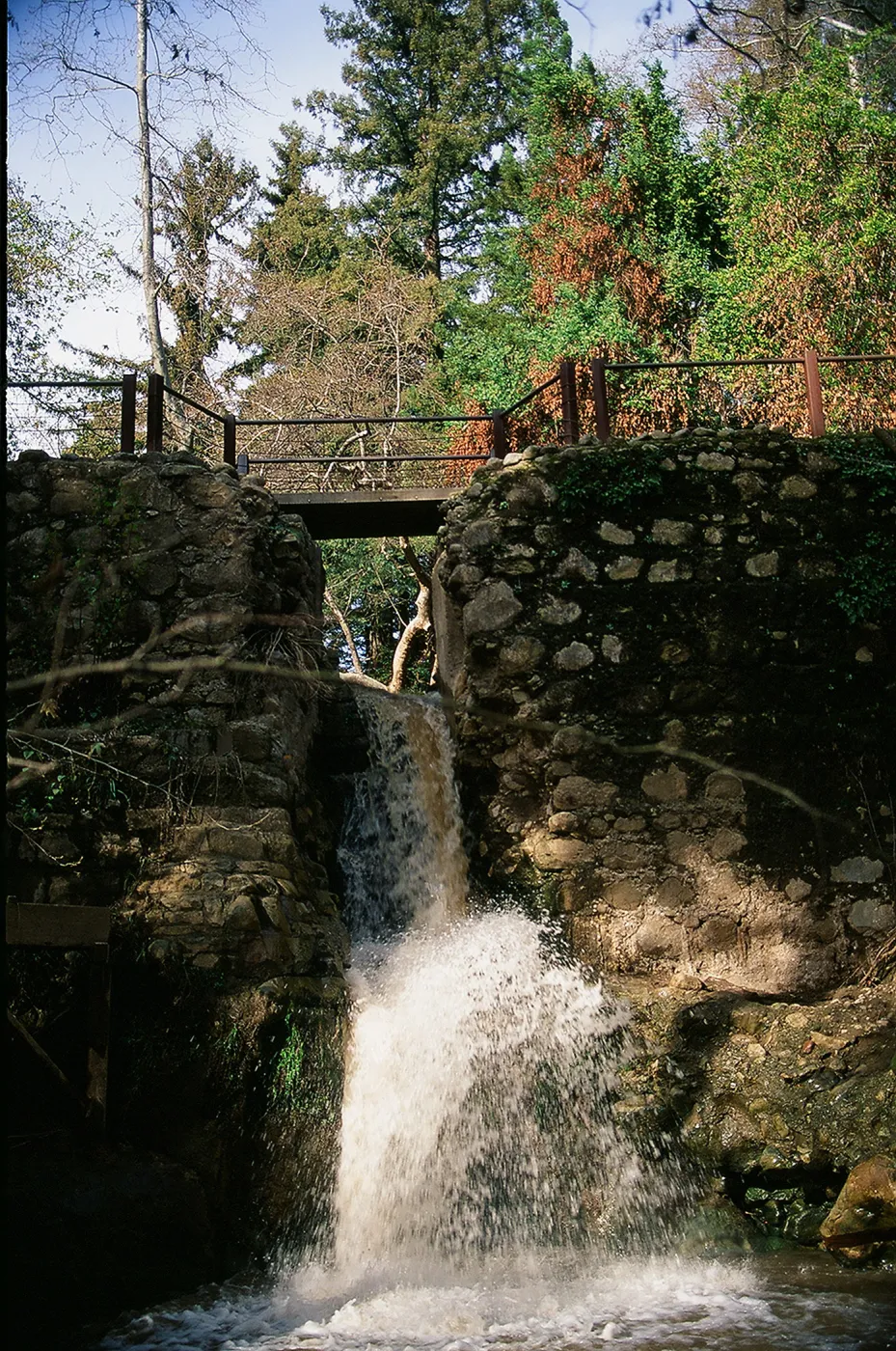 Waterfall at historic Mission Dam, SBBG Photo Contest 2013