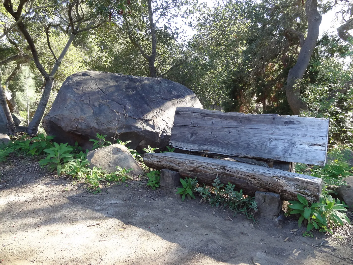 wood bench and sandstone boulder, Manzanita Section, Spring in the Garden, February 2013, SBBG