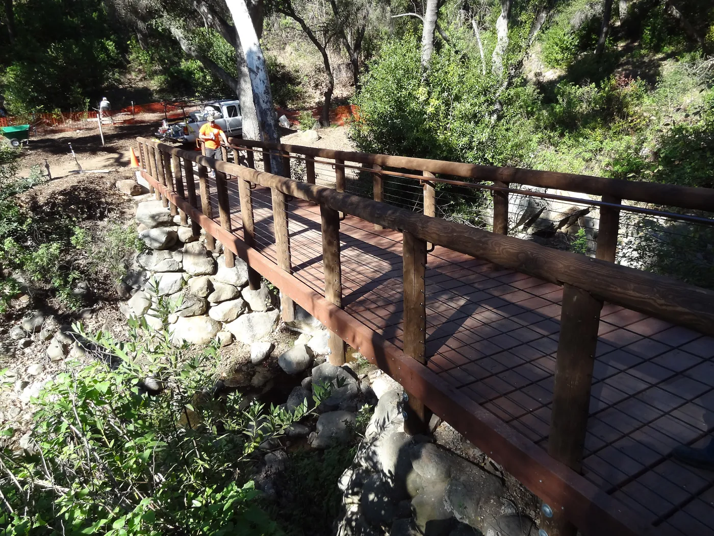 new Campbell Bridge, Mission Canyon, Spring in the Garden, February 2013, SBBG