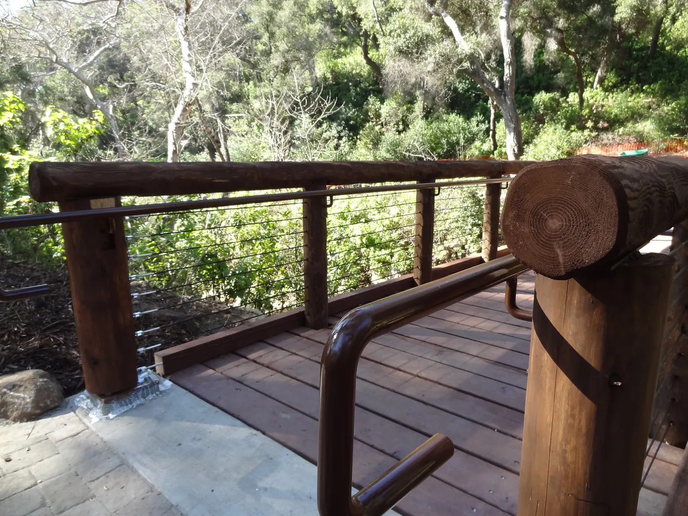 new Campbell Bridge, Mission Canyon, Spring in the Garden, February 2013, SBBG