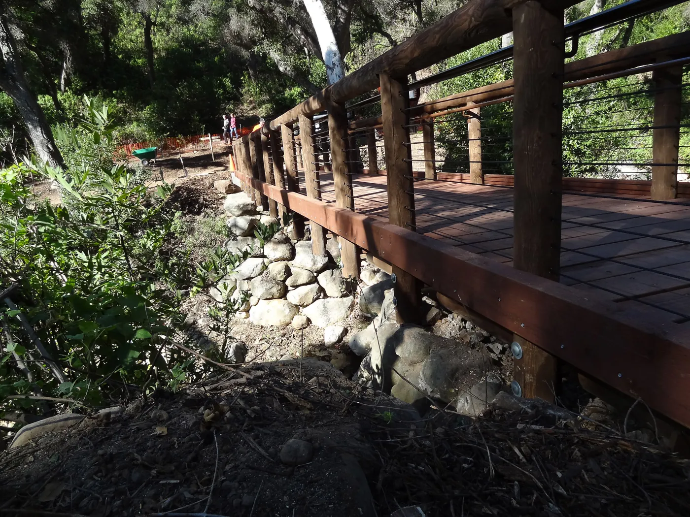 new Campbell Bridge, Mission Canyon, Spring in the Garden, February 2013, SBBG