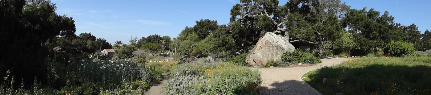 Blaksley Boulder, douglas fir is removed, May 2013, Information Kiosk, panorama