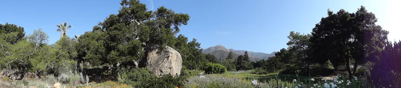 Blaksley Boulder, douglas fir is removed, May 2013, panorama