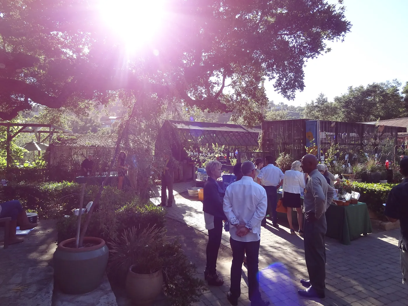 SBBG hosts Santa Barbara Chamber of Commerce Mixer, June 2013