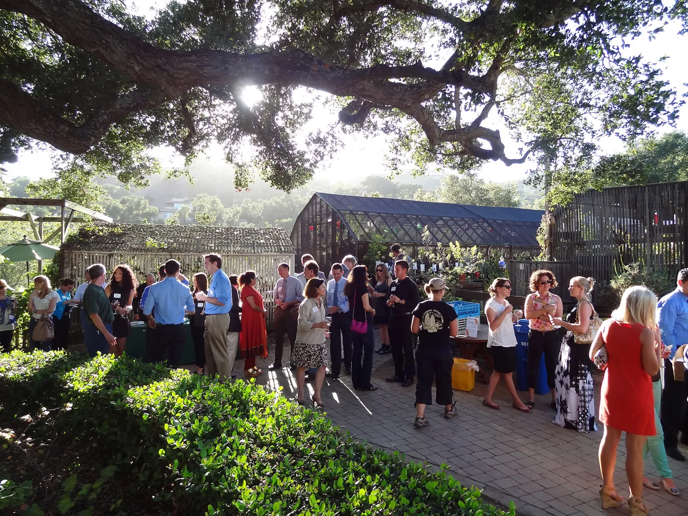 SBBG hosts Santa Barbara Chamber of Commerce Mixer, June 2013