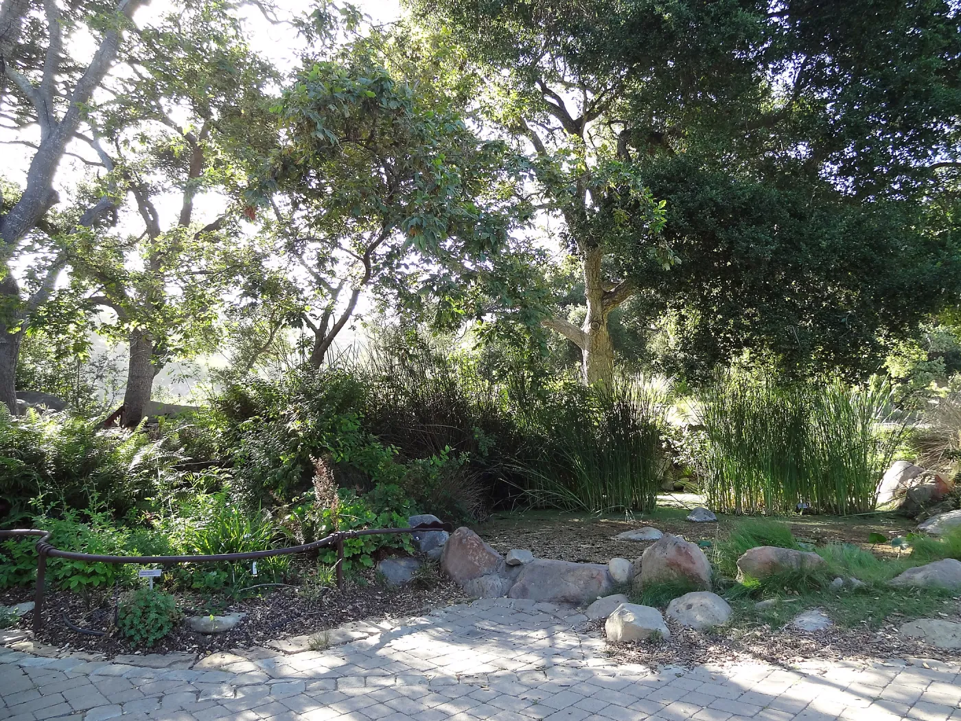 Meadow Pond
