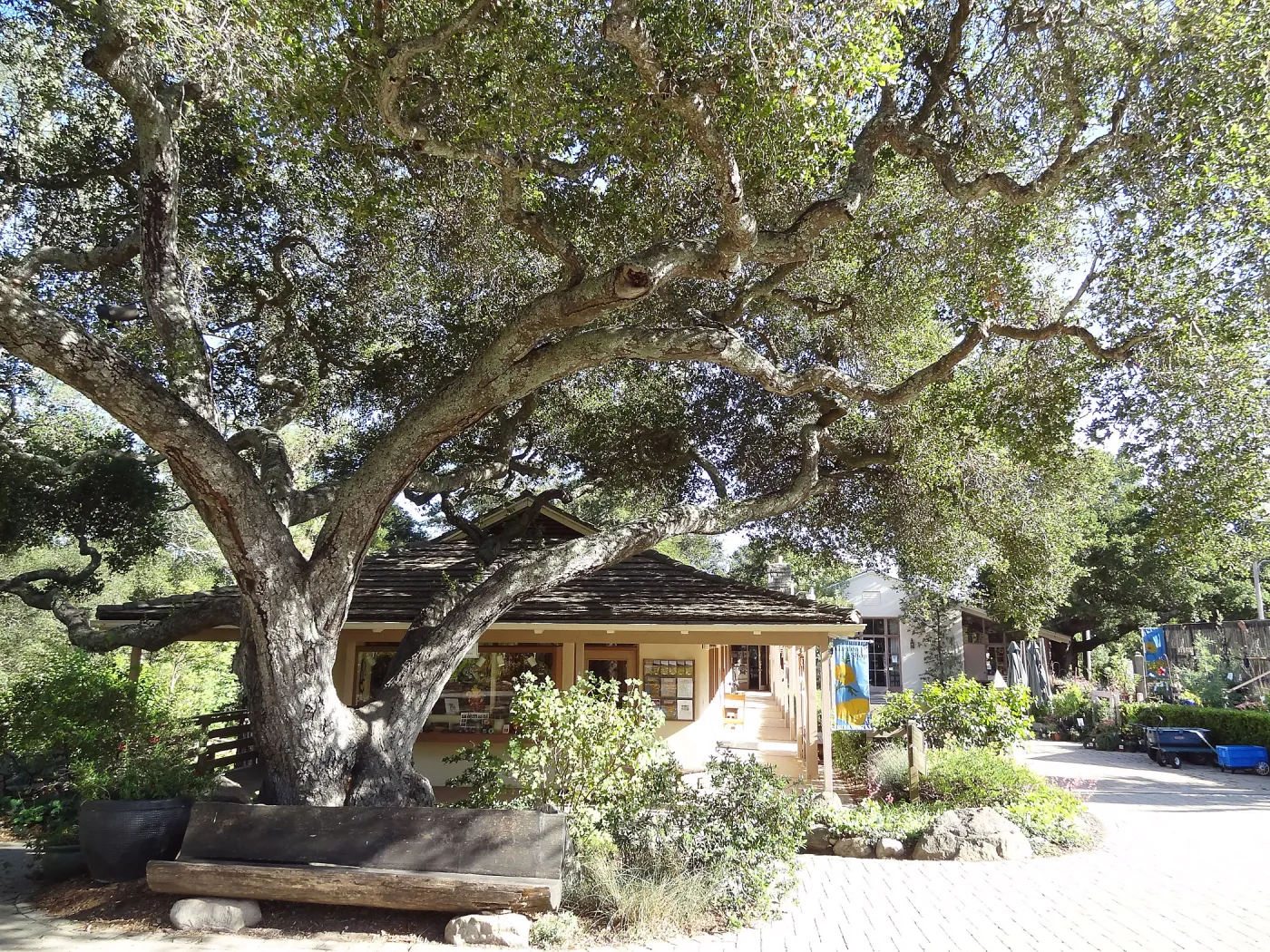 Garden Shop, wood bench, entrance oak