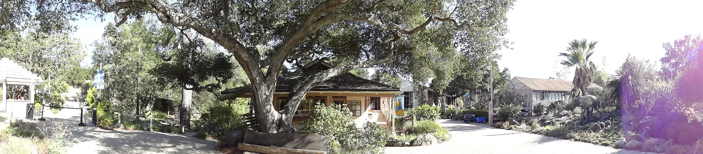 Garden Entrance panorama, Garden Shop, wood bench, entrance oak