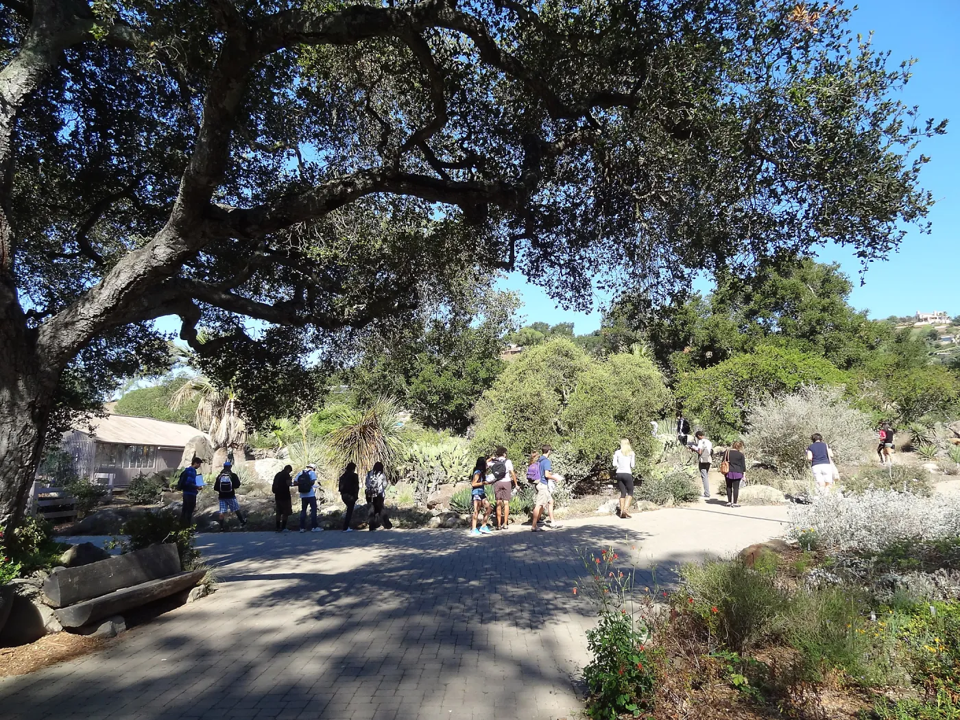Visiting school group, at Garden Entrance and Desert Section