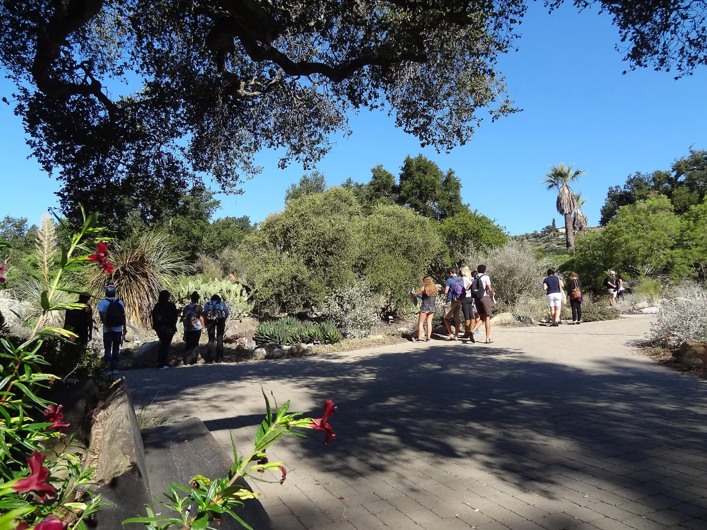 Visiting school group, at Garden Entrance and Desert Section