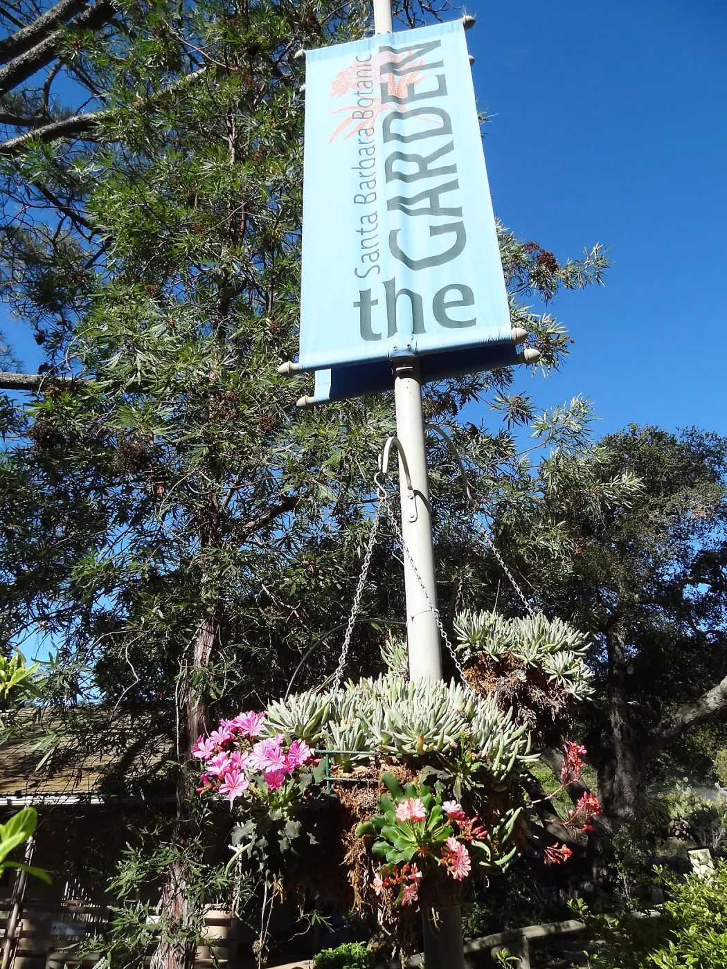 SBBG sign and hanging basket