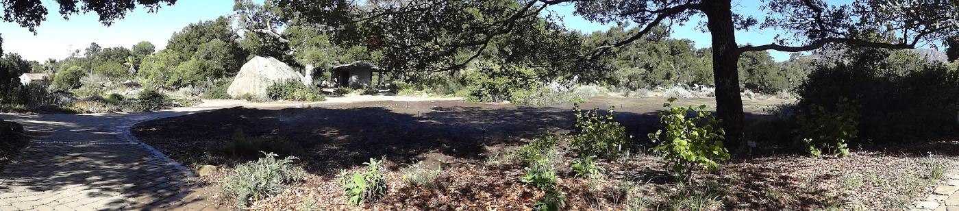 SBBG Meadow Revival Project, August 2013 panorama