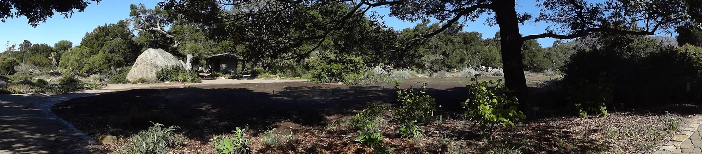 SBBG Meadow Revival Project, August 2013 panorama