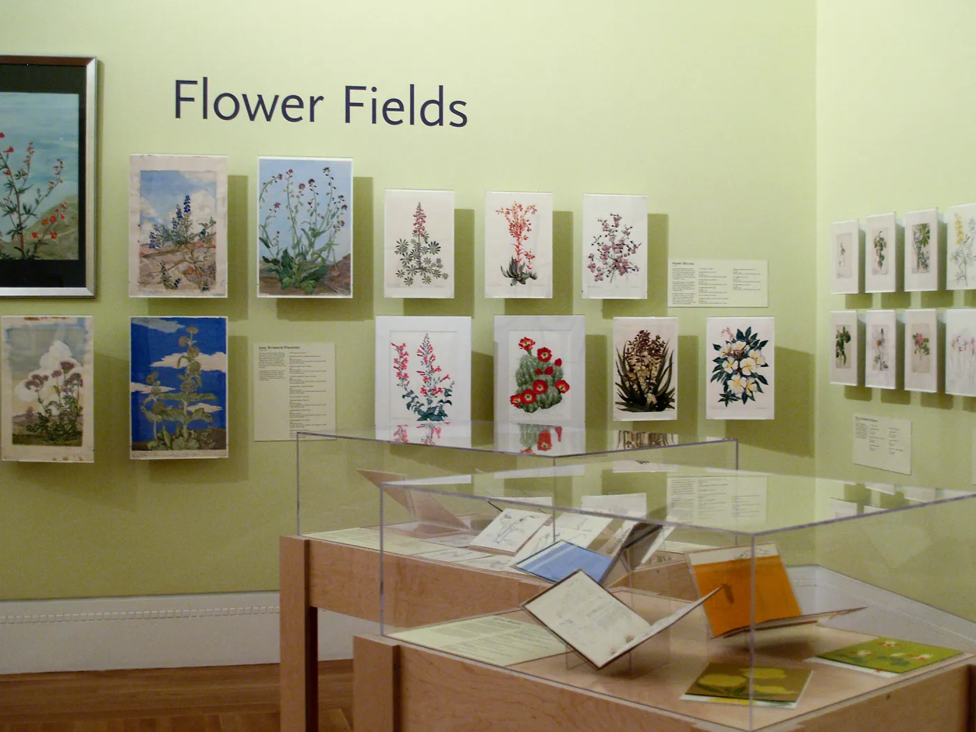 Art by Henry Mockel (on wall, center) on loan from SBBG Blaksley Library, When They Were Wild, Art Exhibition, March 9 to July 8, 2013