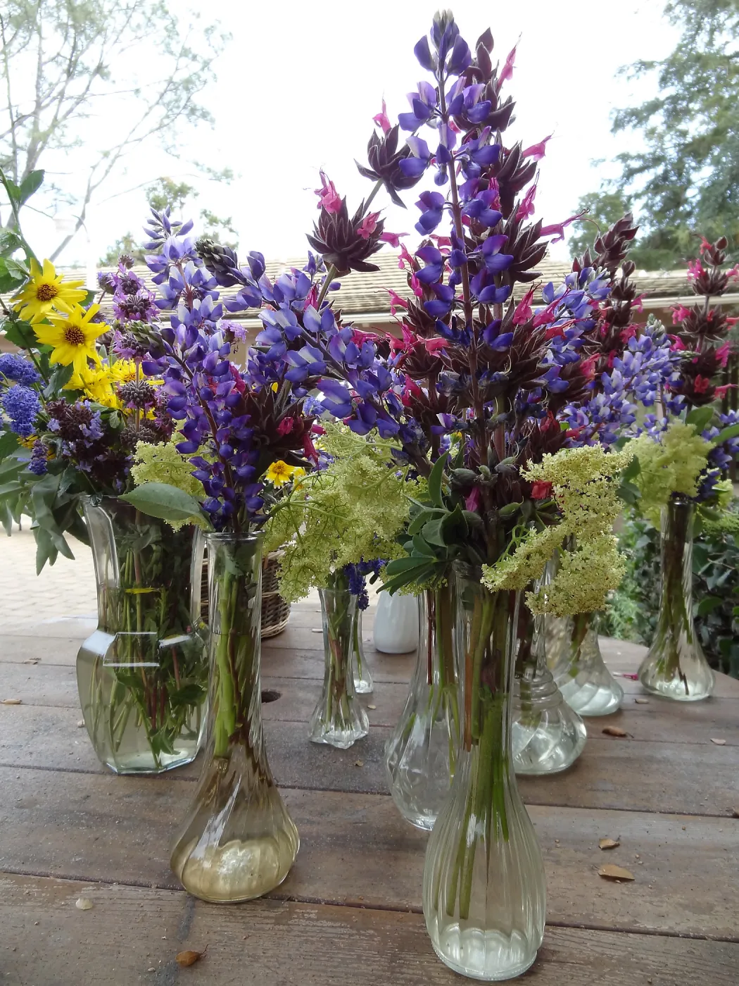 floral arrangements of Garden wildflowers for the SBBG Members Picnic