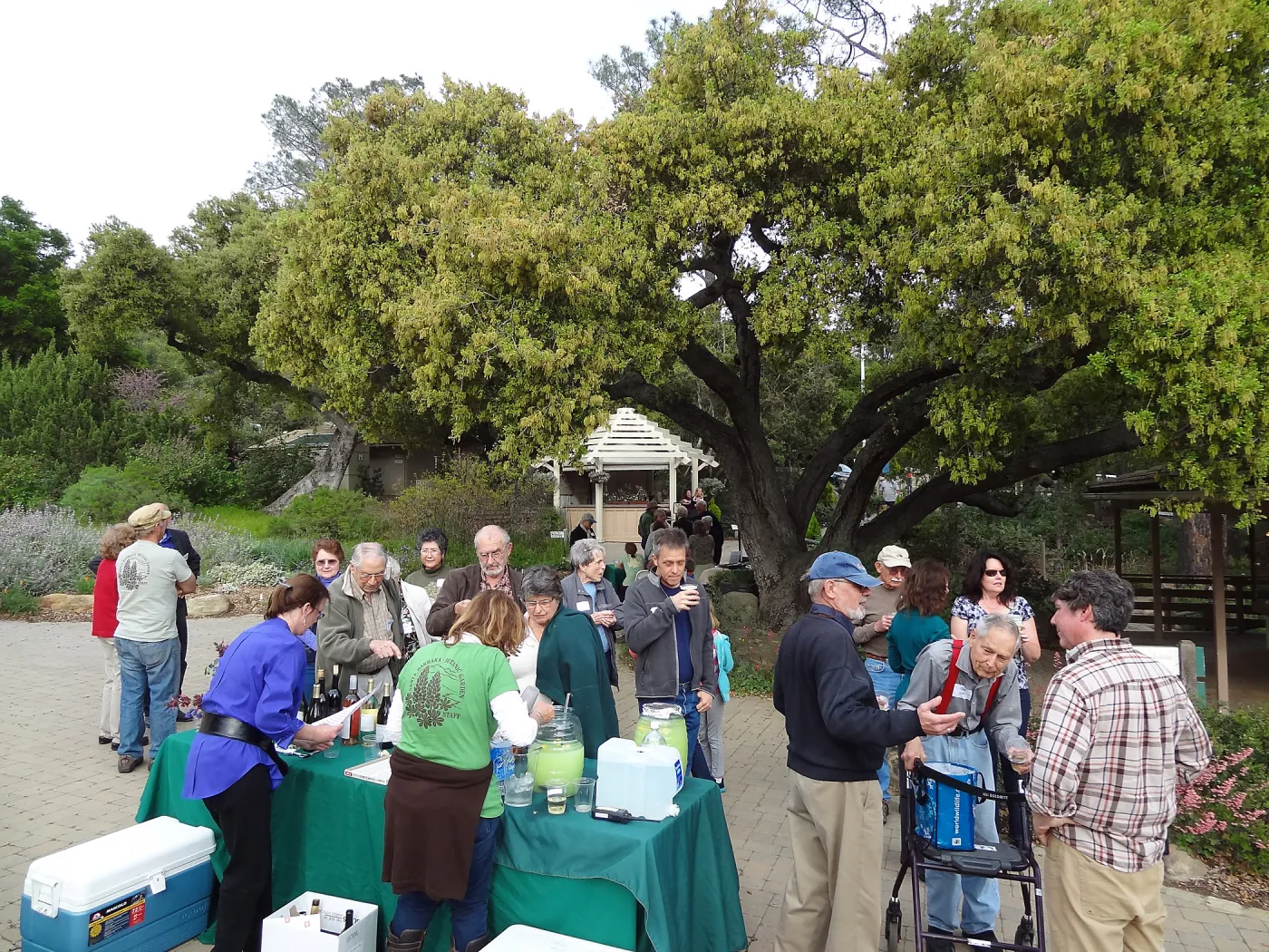 at the SBBG Members Picnic 2013