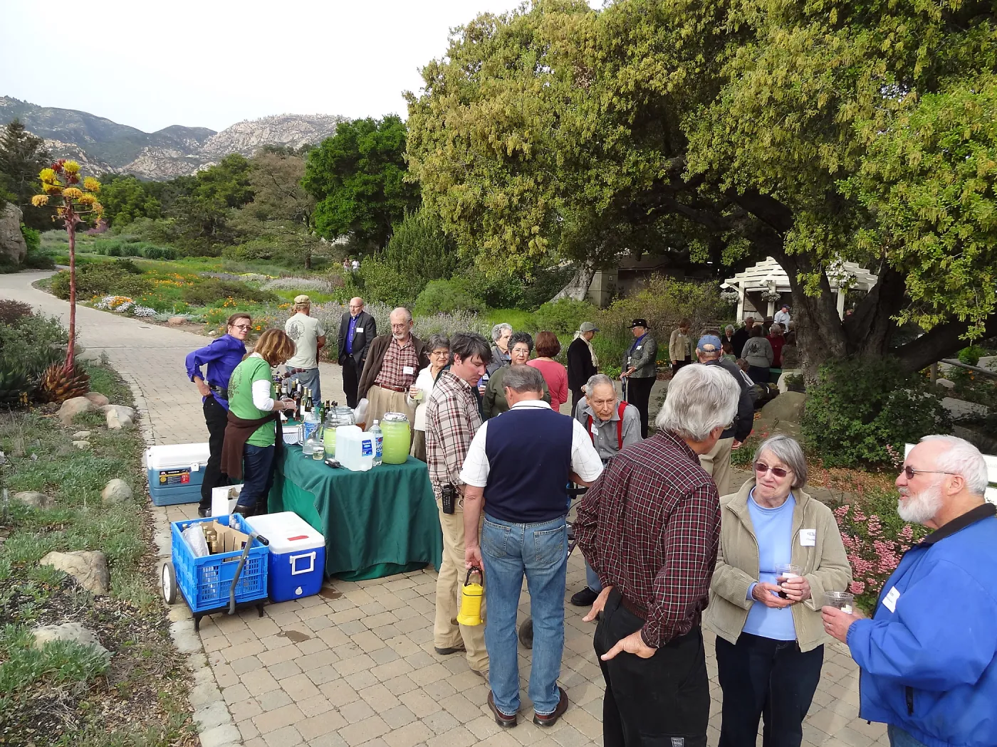 at the SBBG Members Picnic 2013