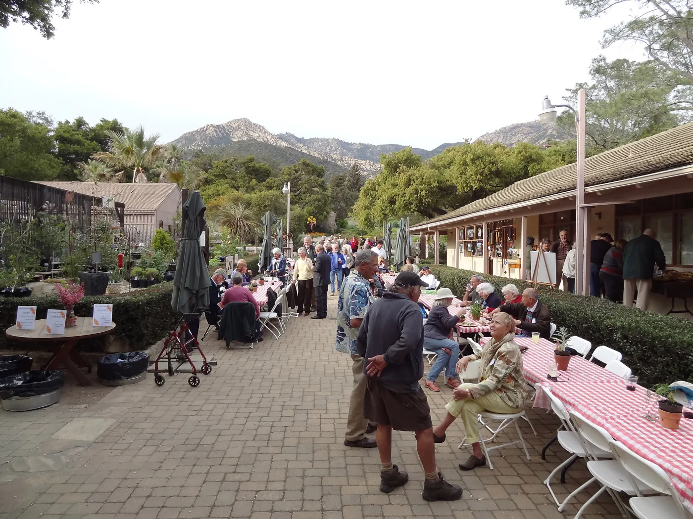at the SBBG Members Picnic 2013